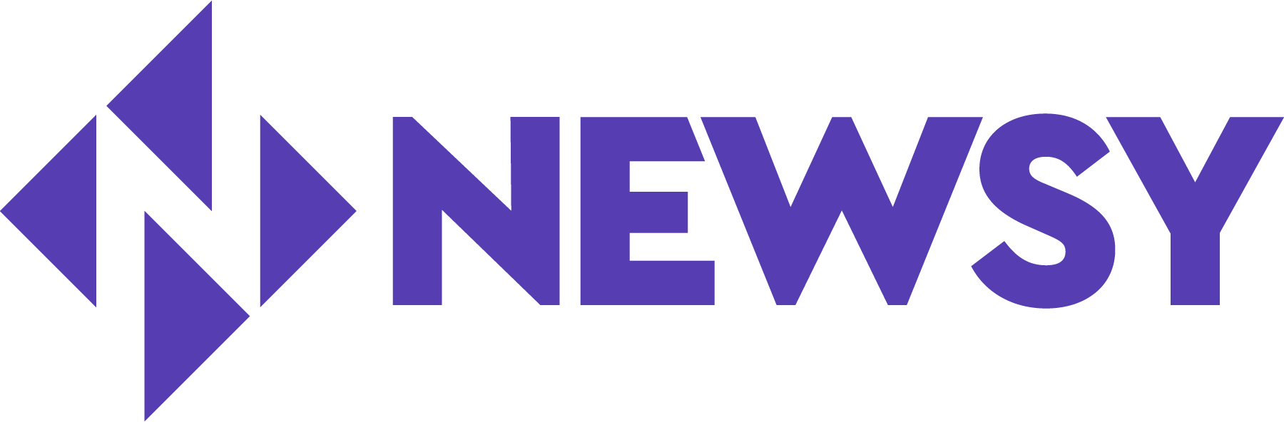 Newsy-Logo-Vector