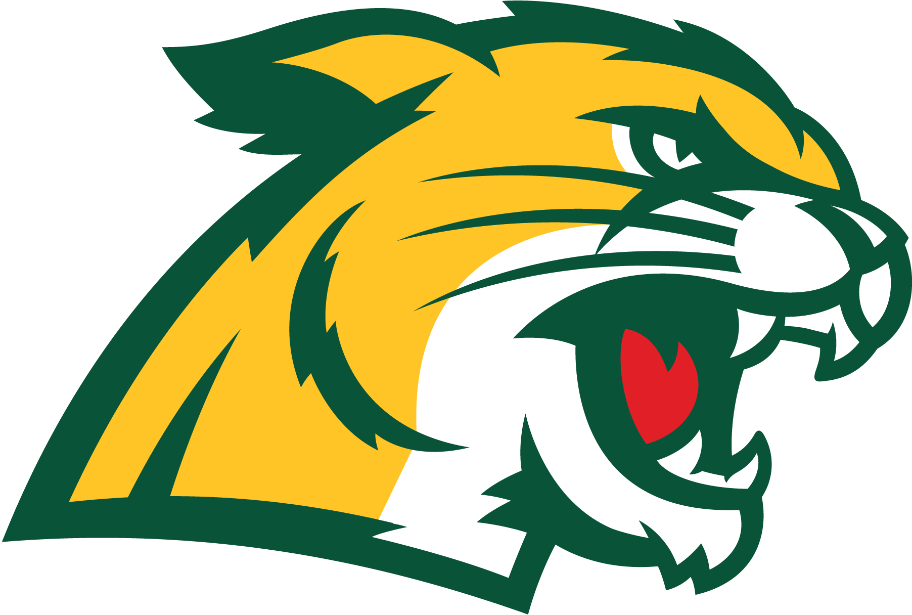 Northern-Michigan-Wildcats-Logo-Vector