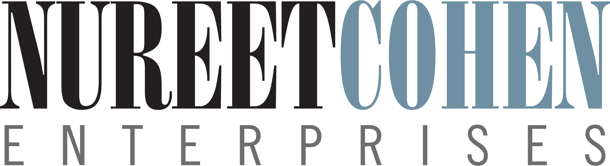 Nureet-Cohen-Enterprises-Logo-Vector