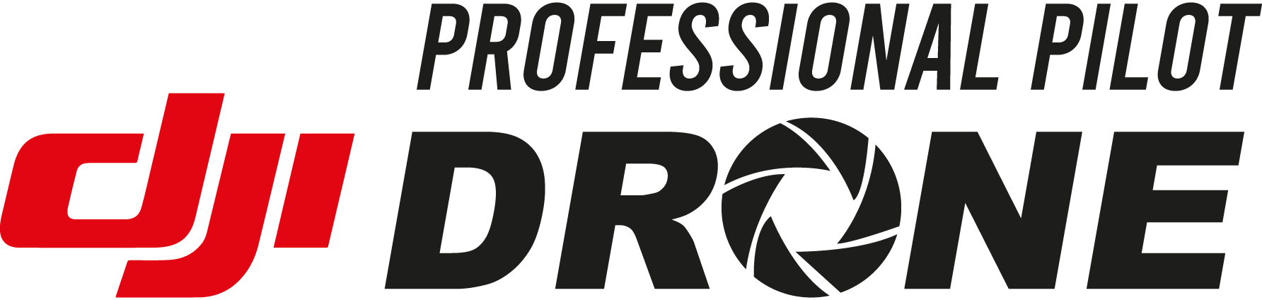 PROFESSIONAL-PILOT-DRONE-Logo-Vector