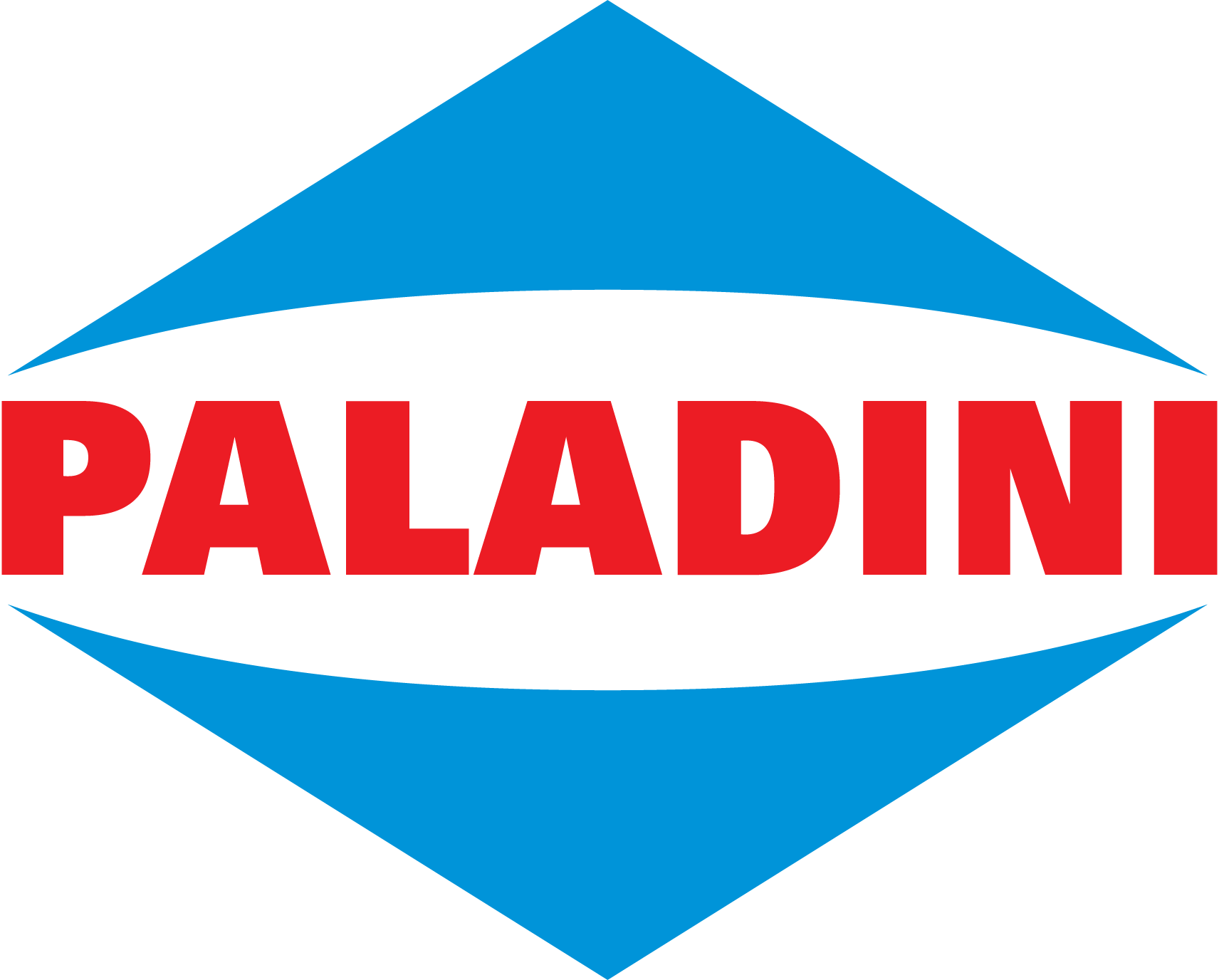 Paladini-Logo-Vector