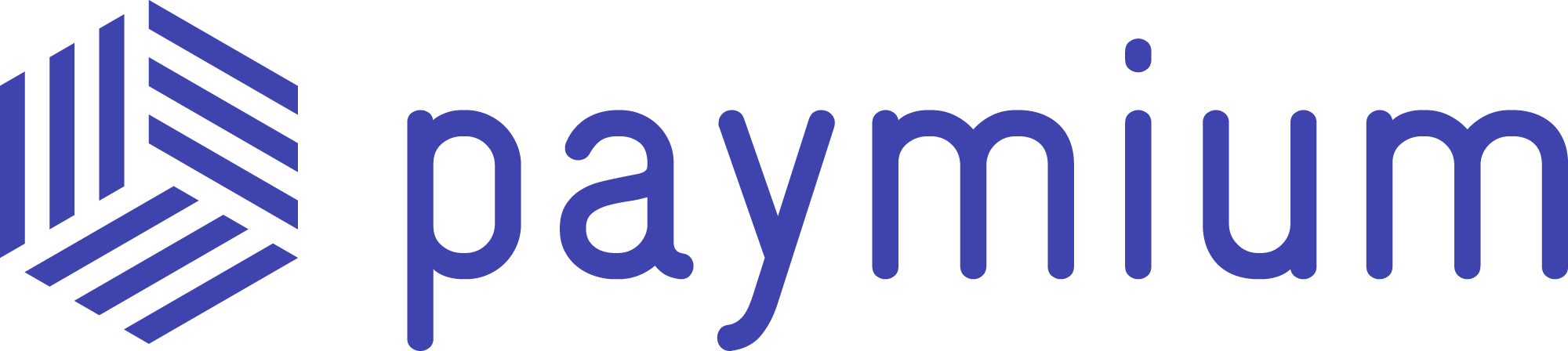Paymium-Logo-Vector