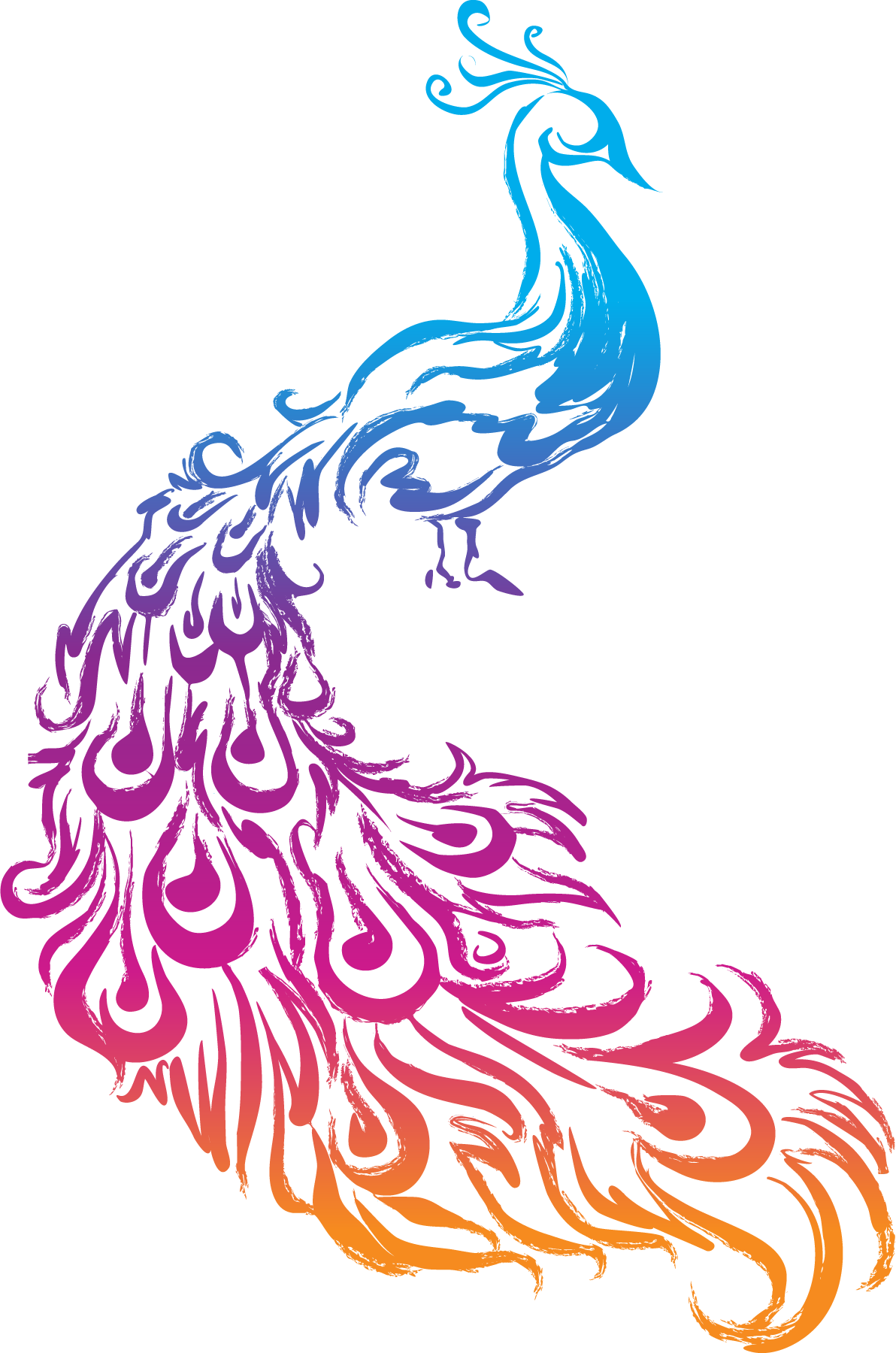 Peacock-Logo-Vector