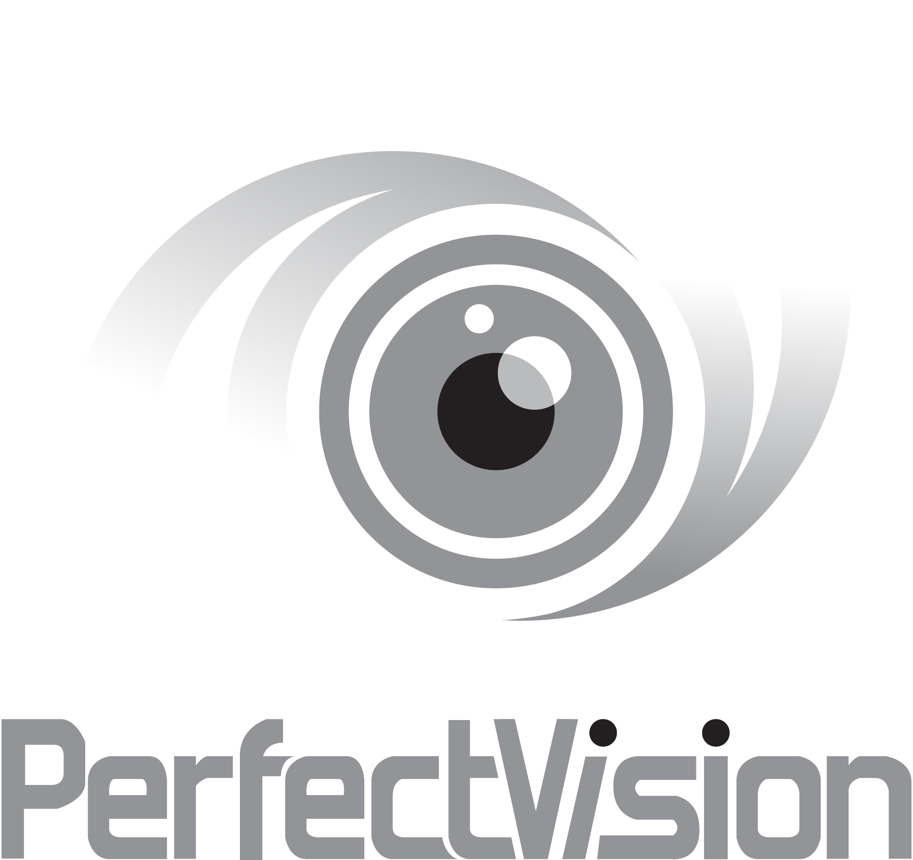 Perfect-Vision-Logo-Vector