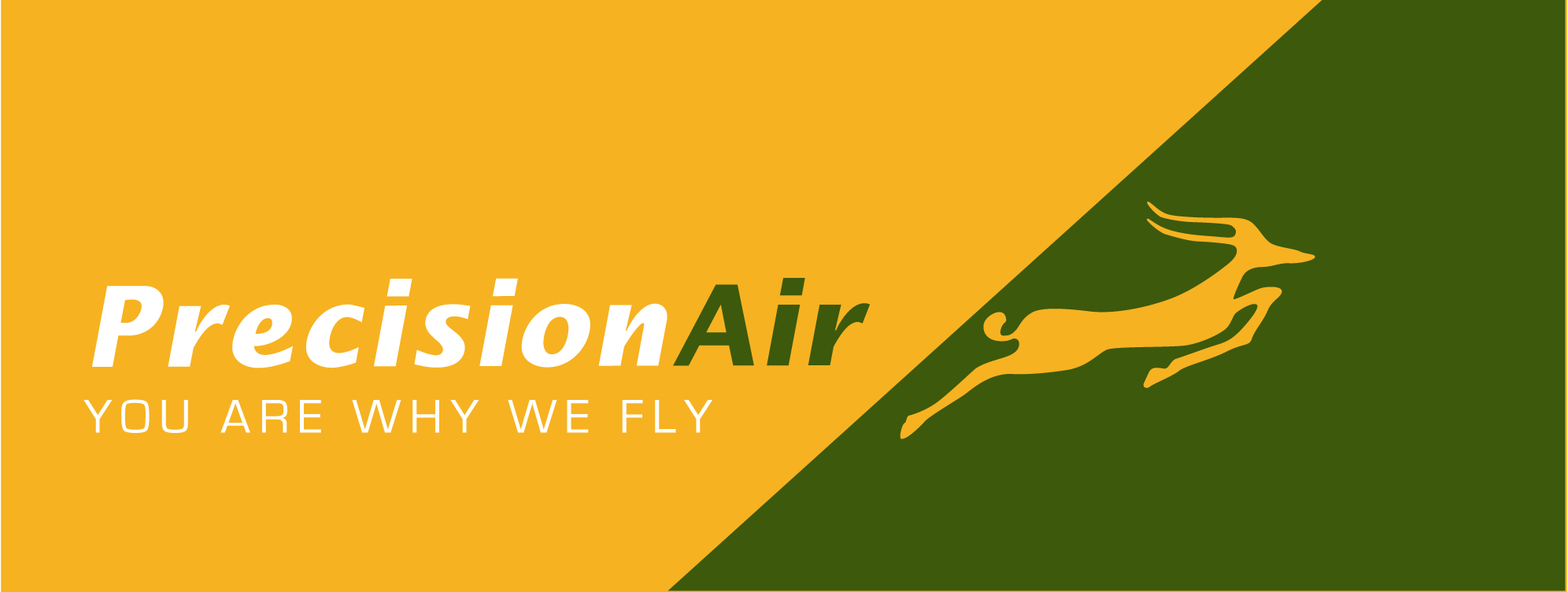 Precision-Air-Logo-Vector