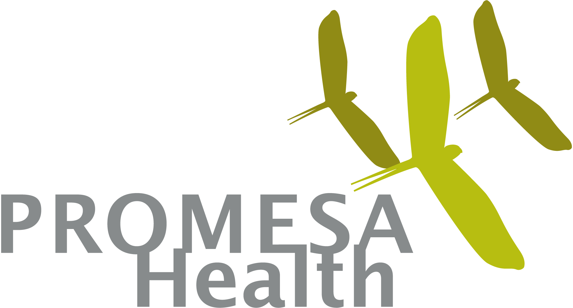 Promesa-Health-Logo-Vector