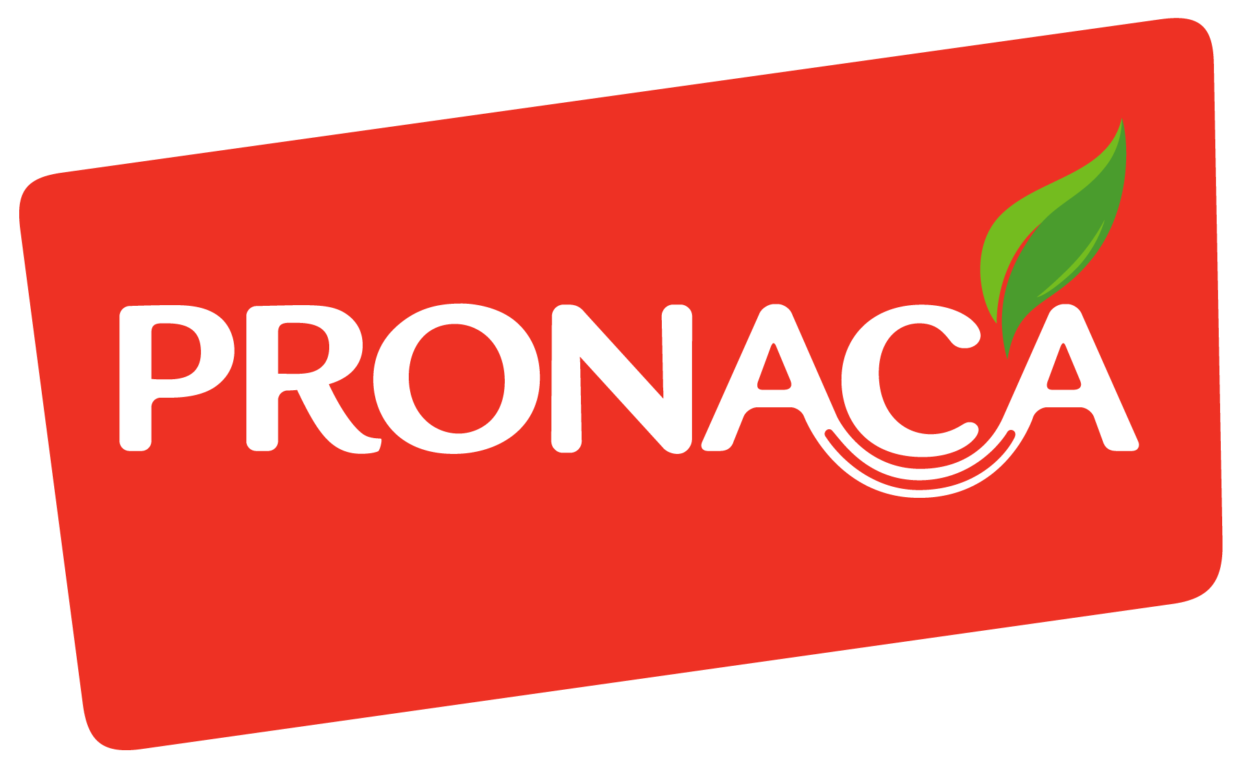 Pronaca-Logo-Vector