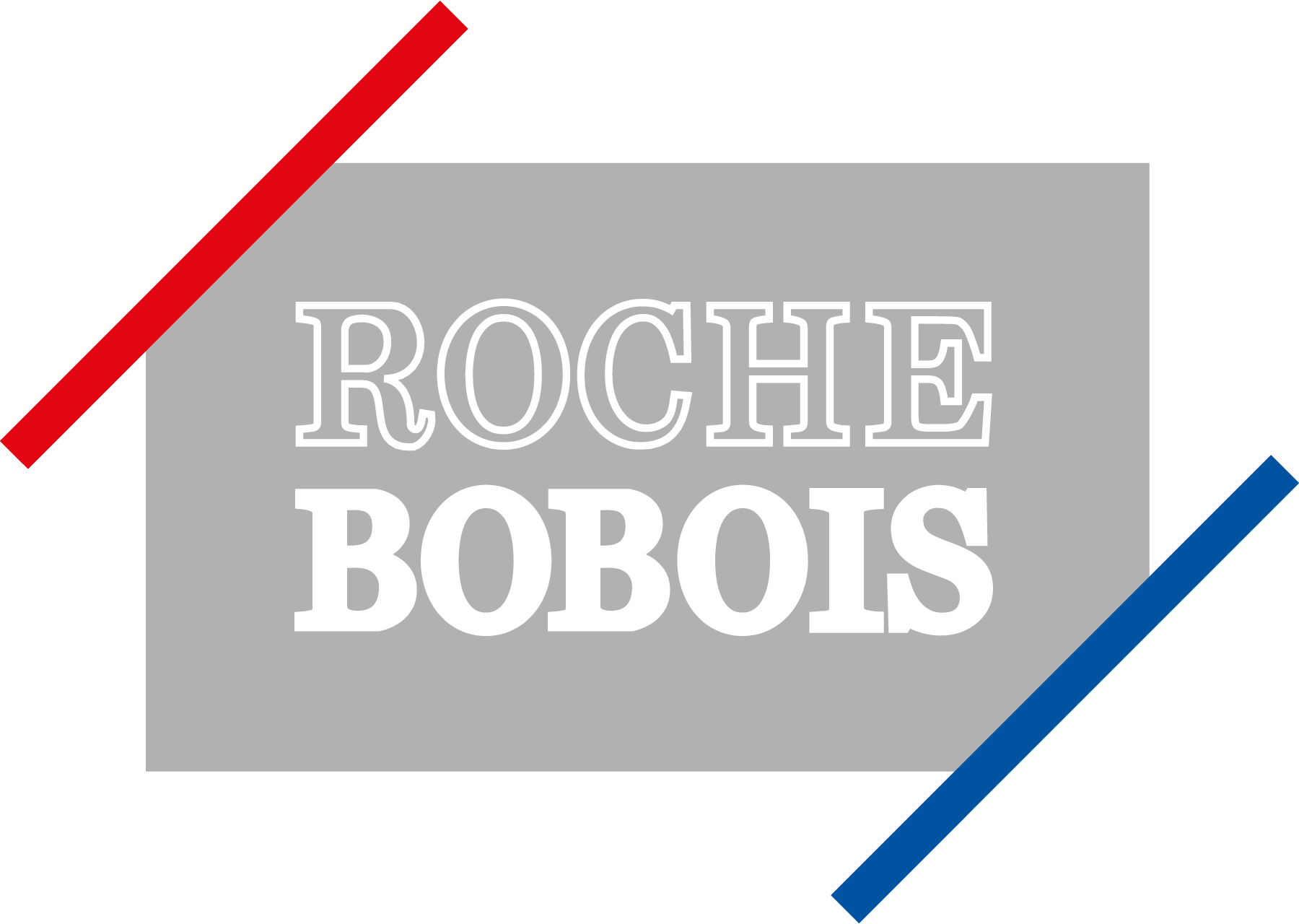 Roche-Bobois-Logo-Vector