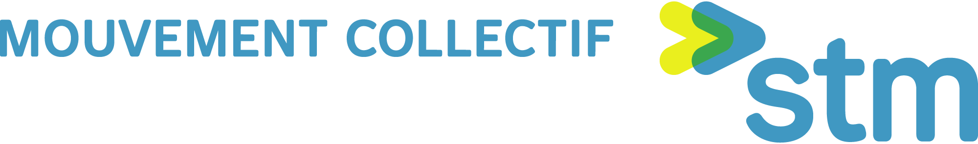 STM-Logo-Vector