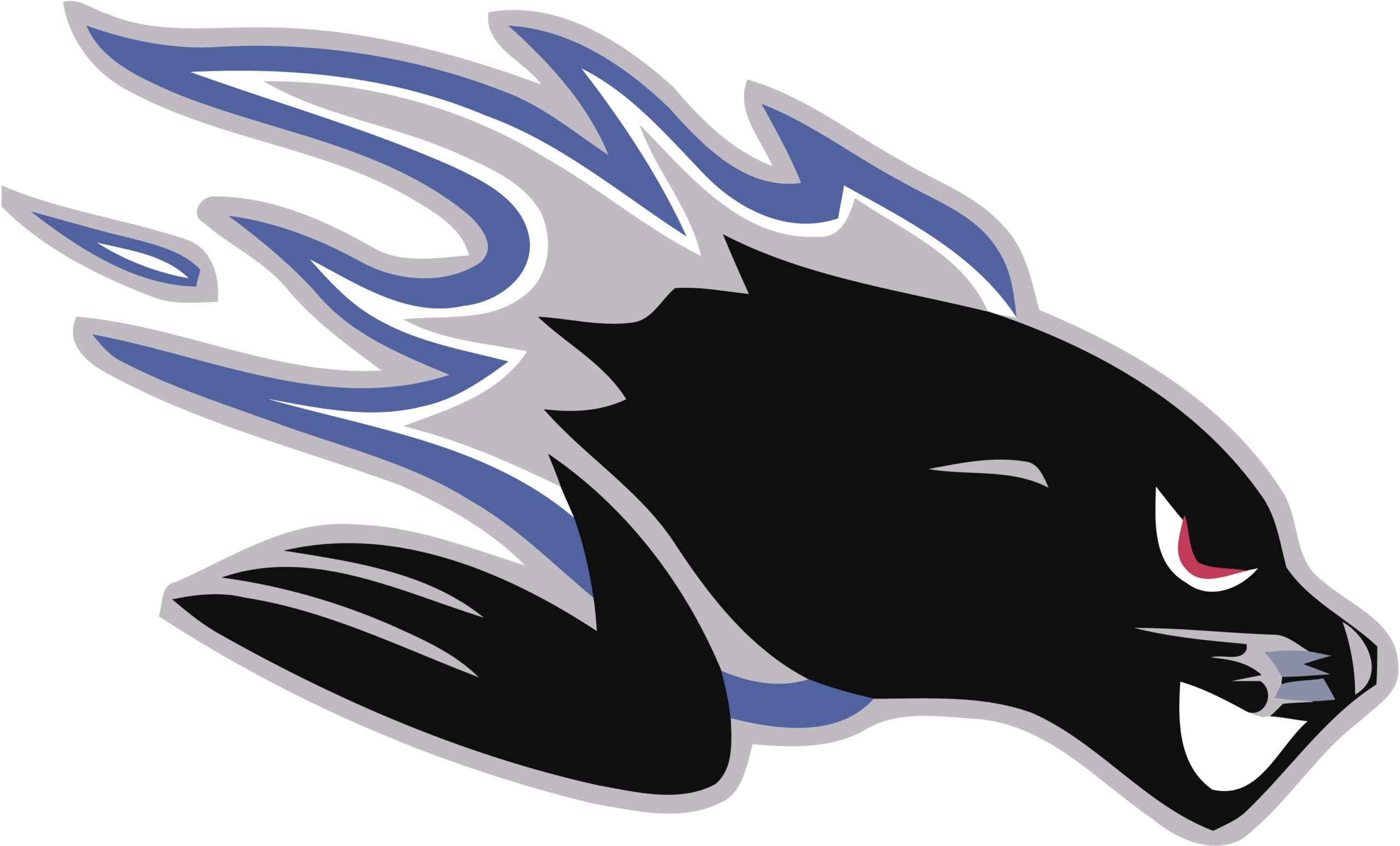 Saint-John-Seadogs-Logo-Vector