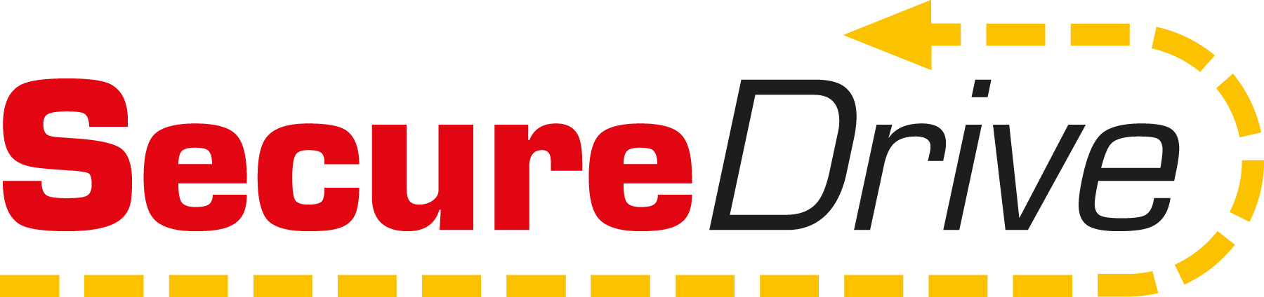 Secure-Drive-Logo-Vector
