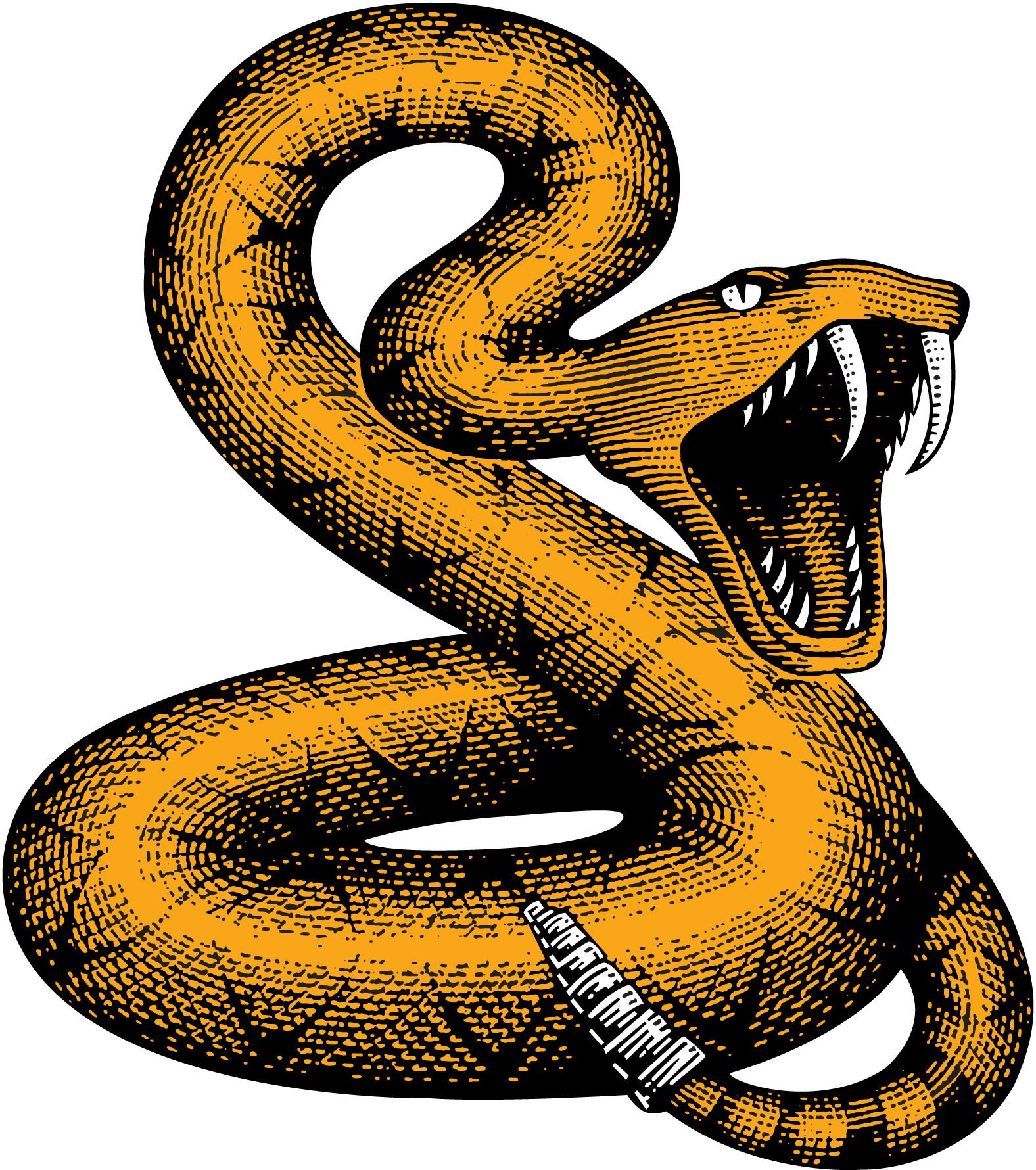 Snake-Logo-Vector