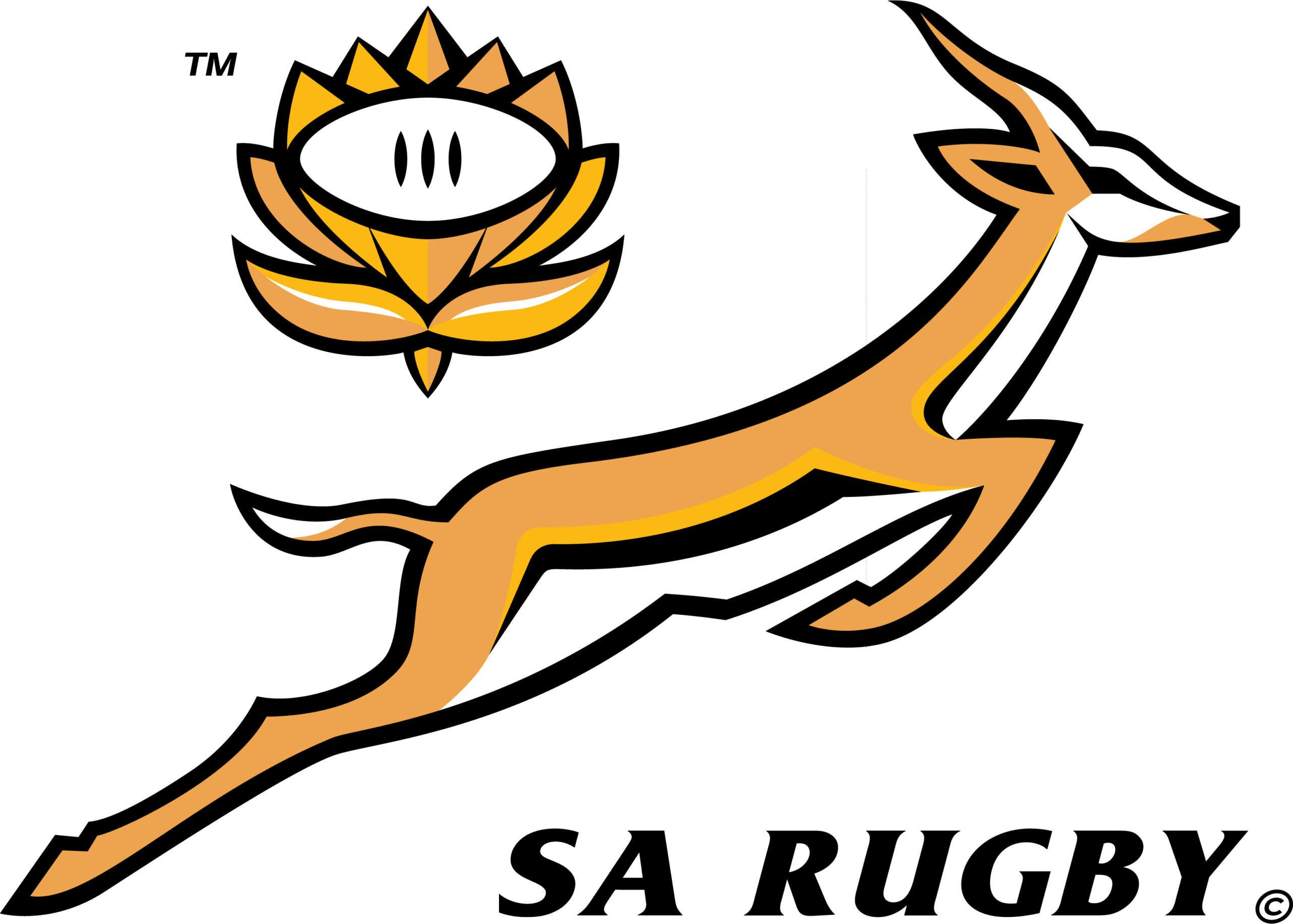 South-Africa-Rugby-Union-Logo-Vector