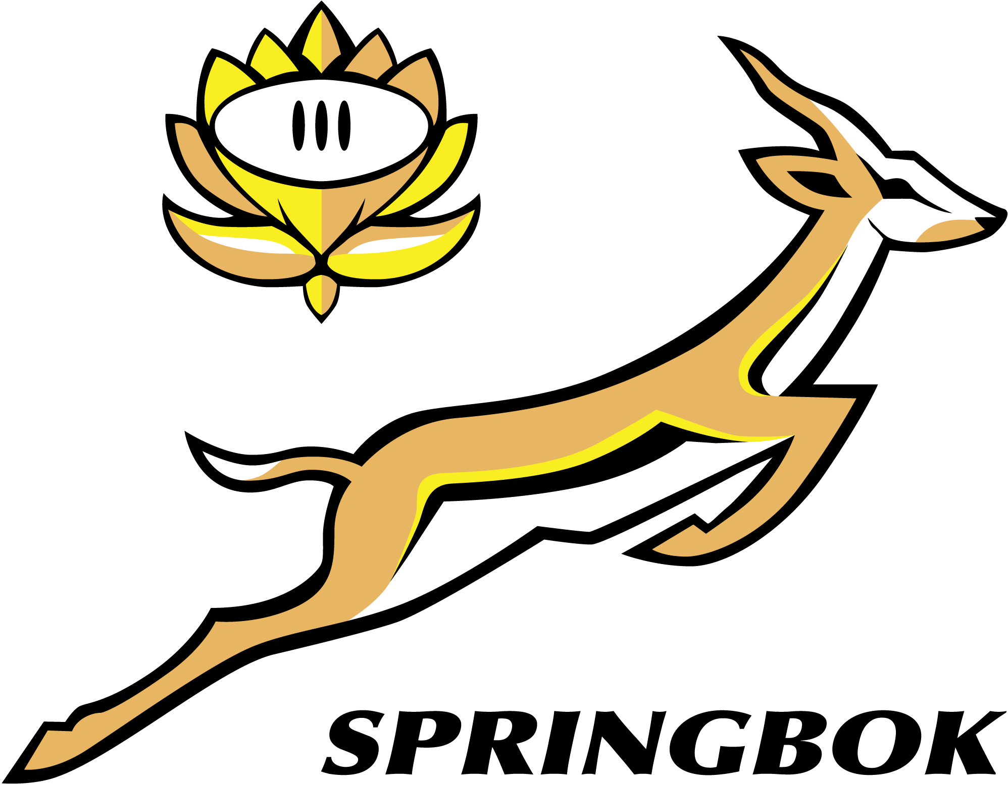 Springbok-Rugby-Logo-Vector