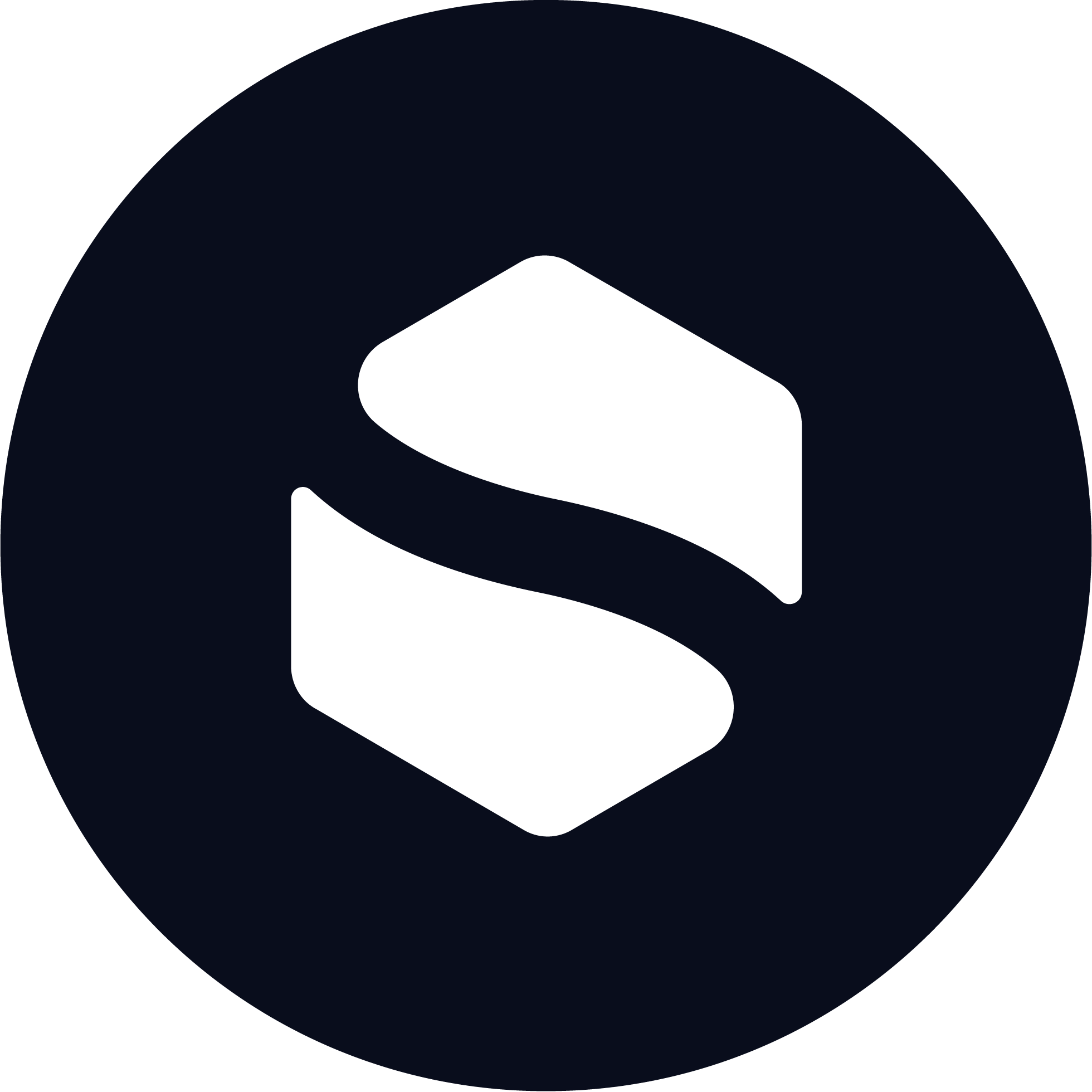 Stakenet-Logo-Vector