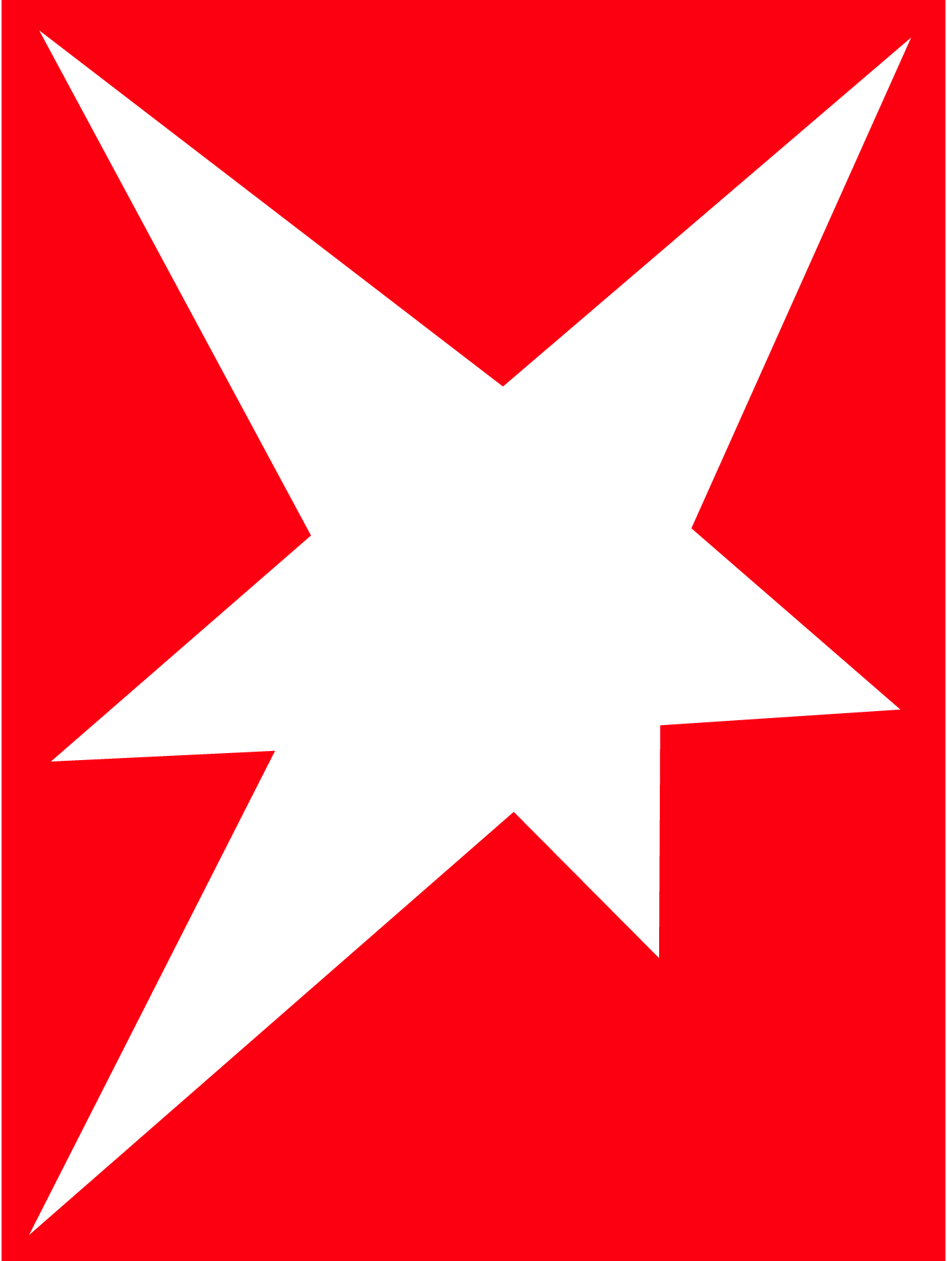 Stern-Icon-Logo-Vector