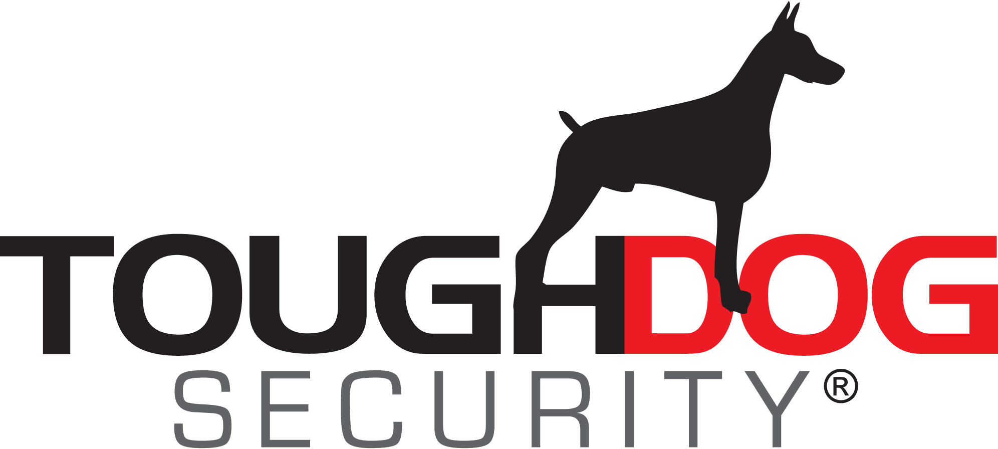 TOUGHDOG-Security-Systems-Logo-Vector