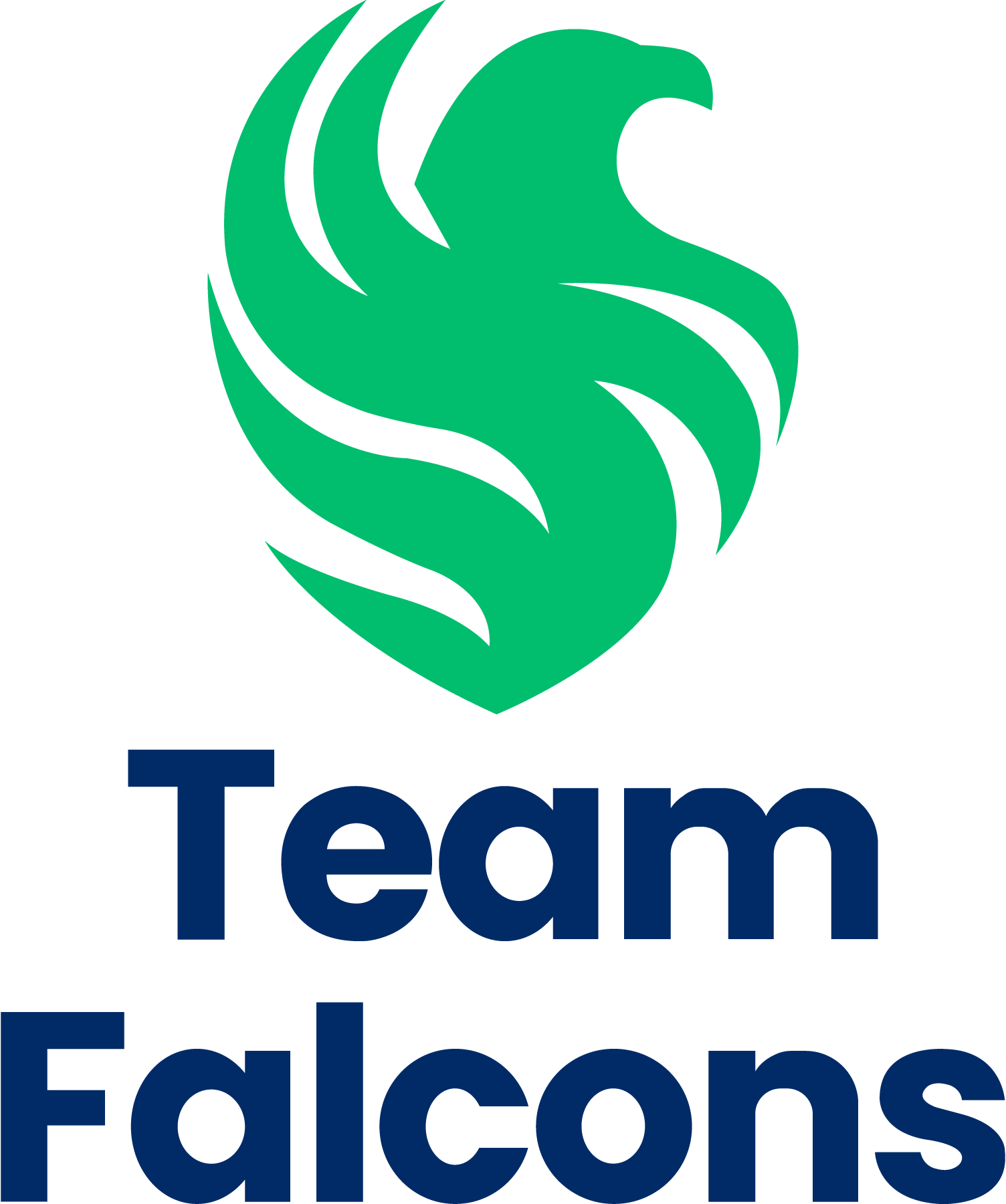 Team-Falcons-Logo-Vector