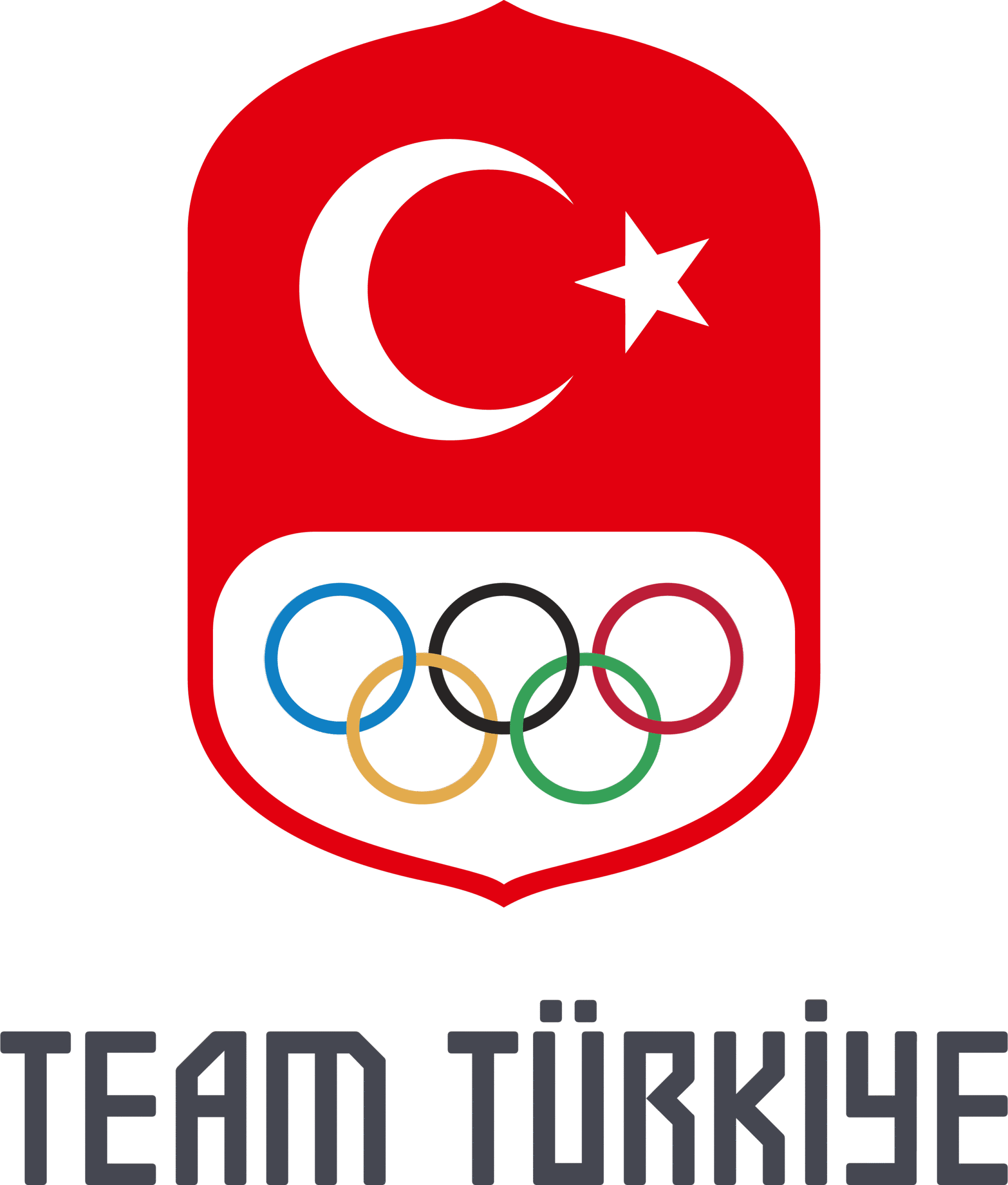 TeamTürkiye-Logo-Vector