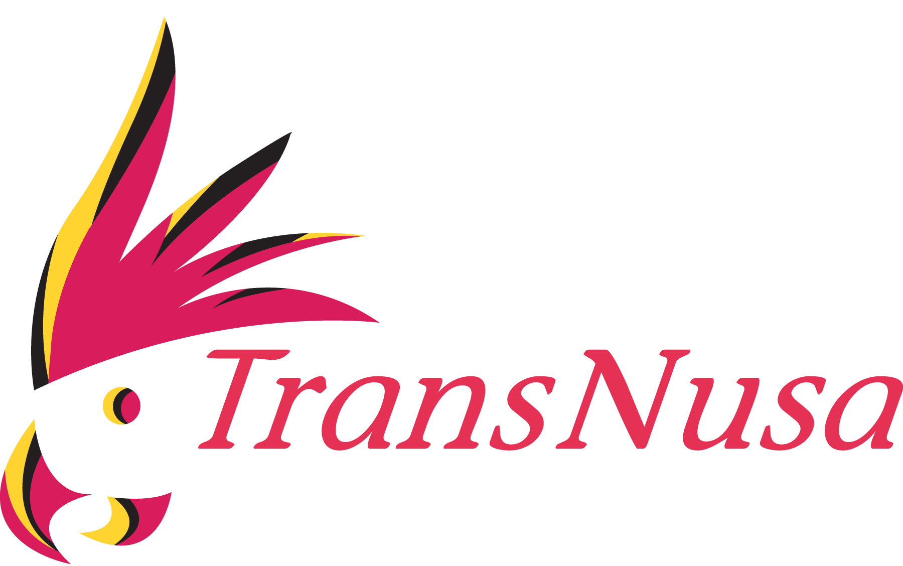 Transnusa-Air-Logo-Vector