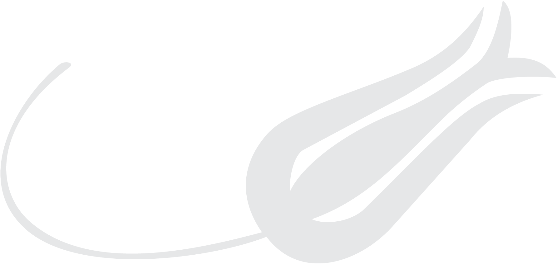 Turk-Hava-Yollari—THY—Lale-Motifi-Logo-Vector