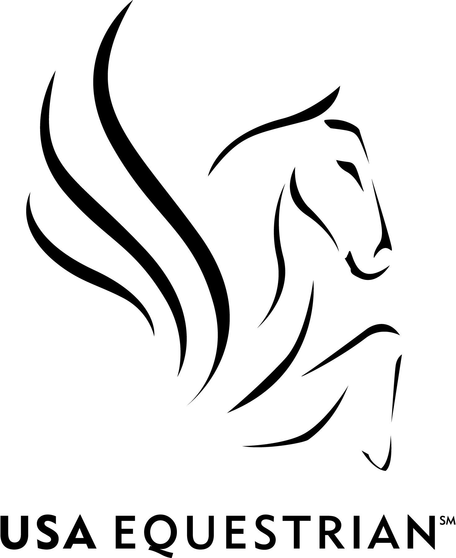 USA-Equestrian-black-Logo-Vector