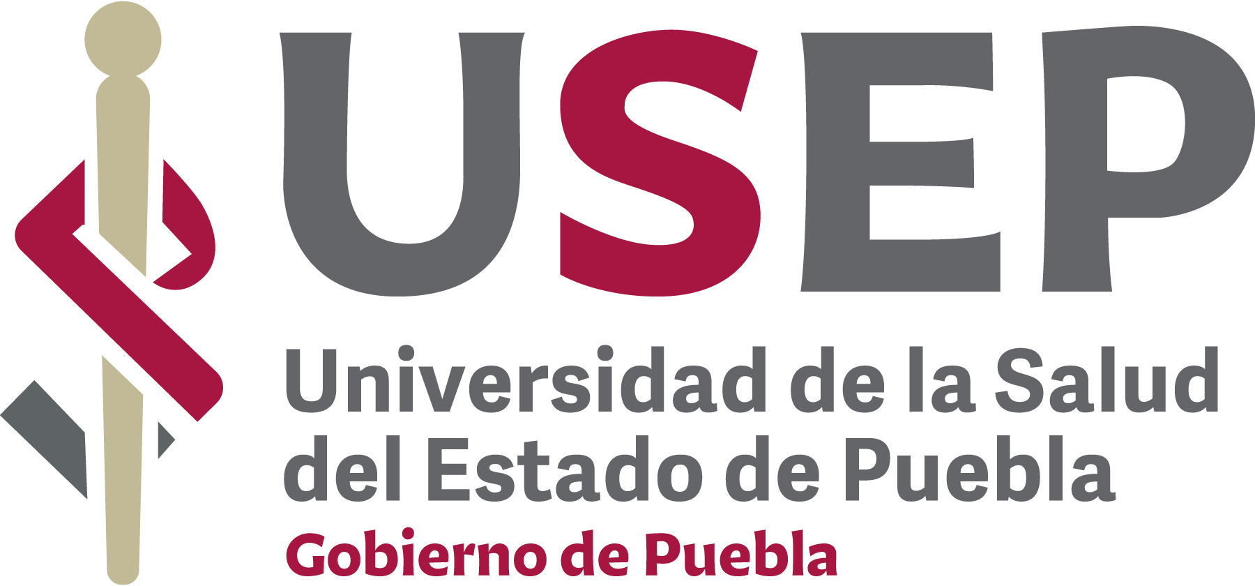 Universidad-de-la-Salud-del-Estado-de-Puebla-Logo-Vector
