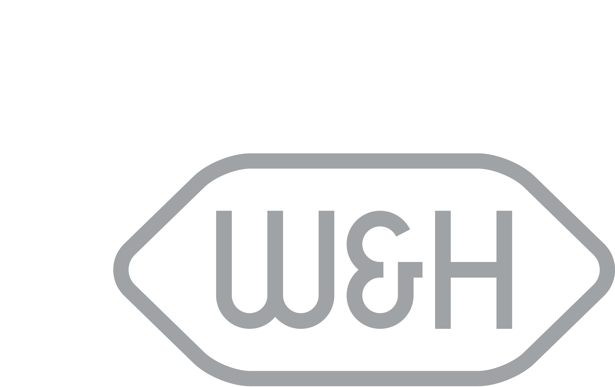W&H-Dentalwerk-Logo-Vector