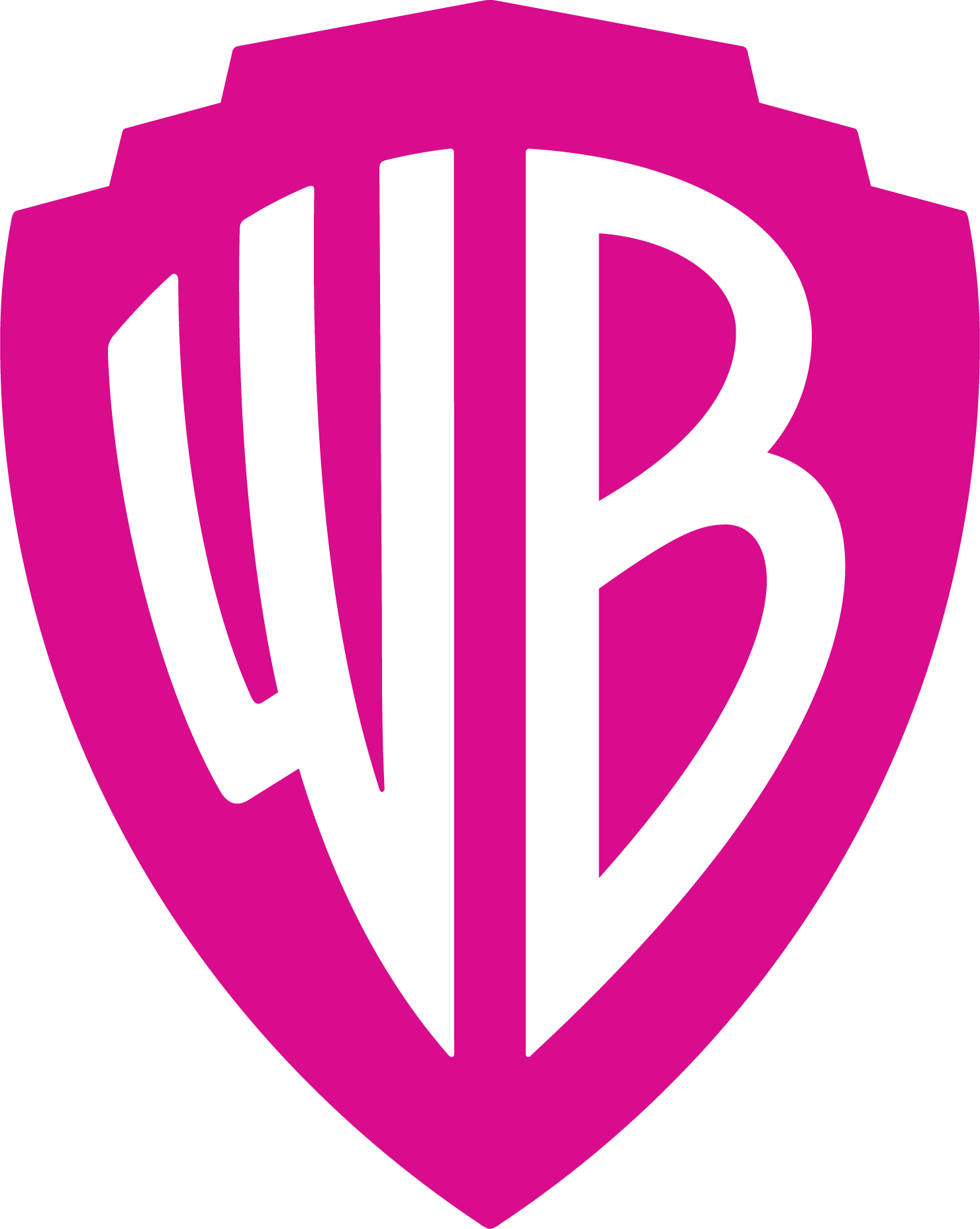 Warner-Bros-Pink-Logo-Vector
