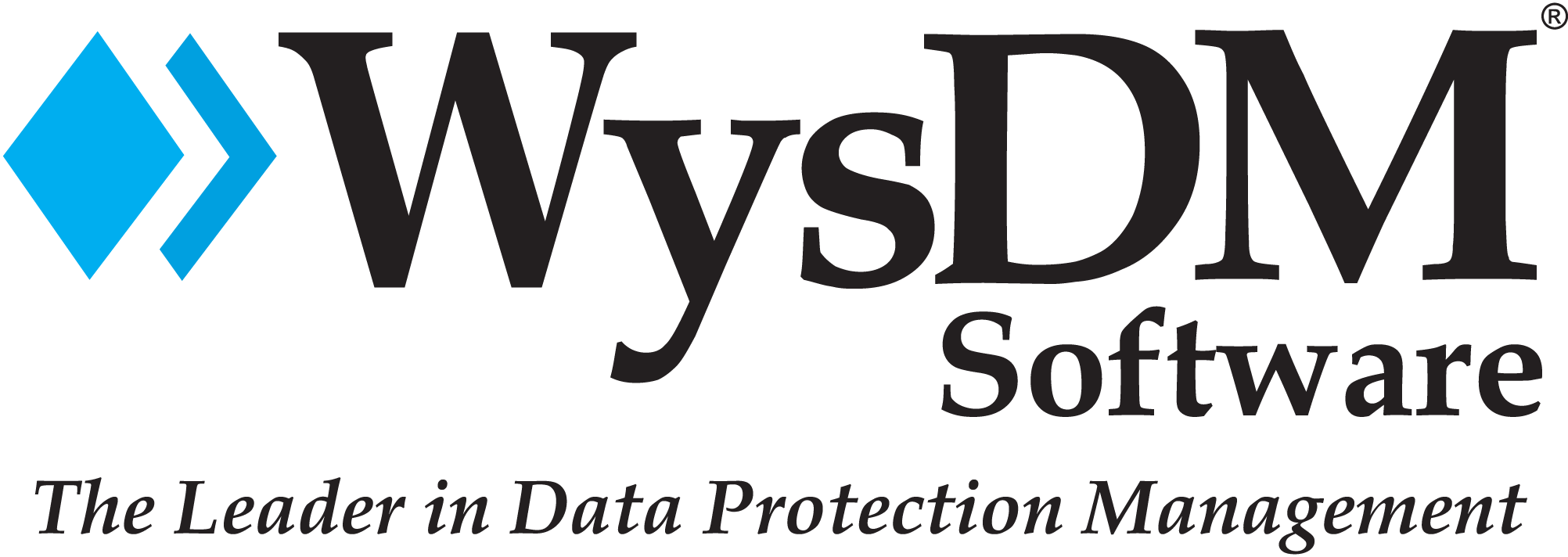 WysDM-Software-Logo-Vector