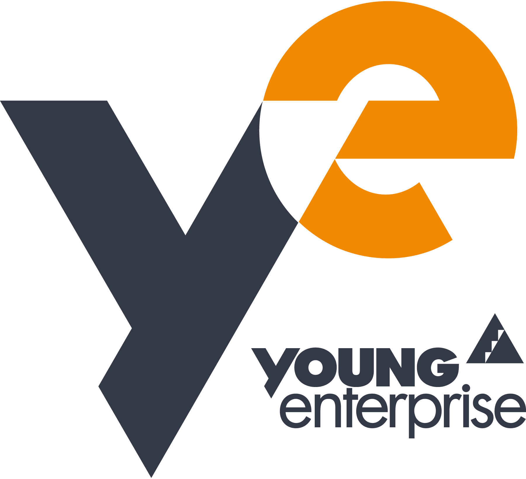 Young-Enterprise-Logo-Vector