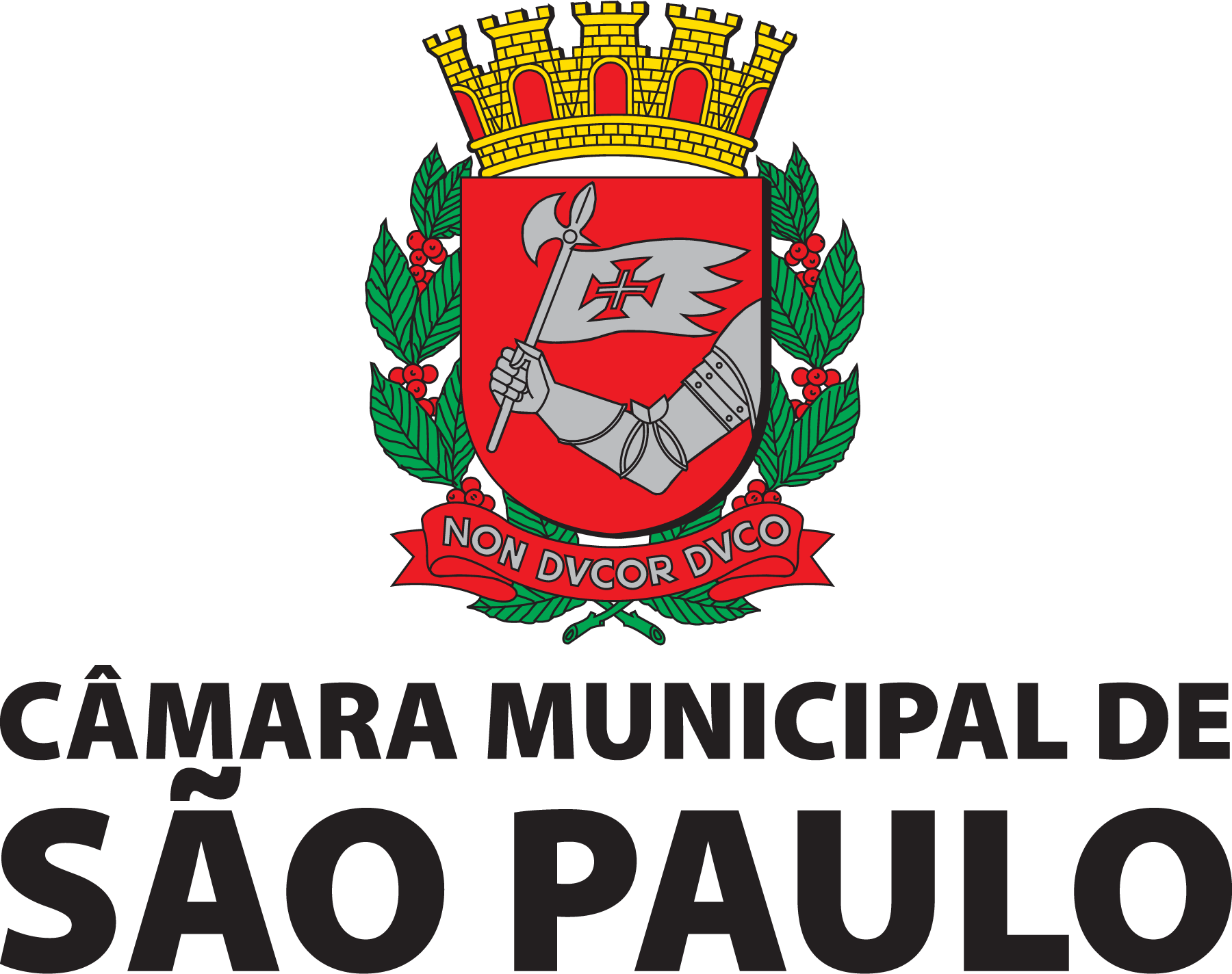 Camara-Municipal-De-Sao-Paulo-logo-png