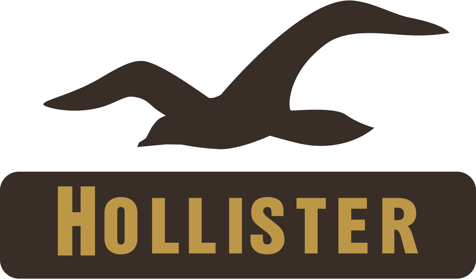 Hollister-Co.-logo-png