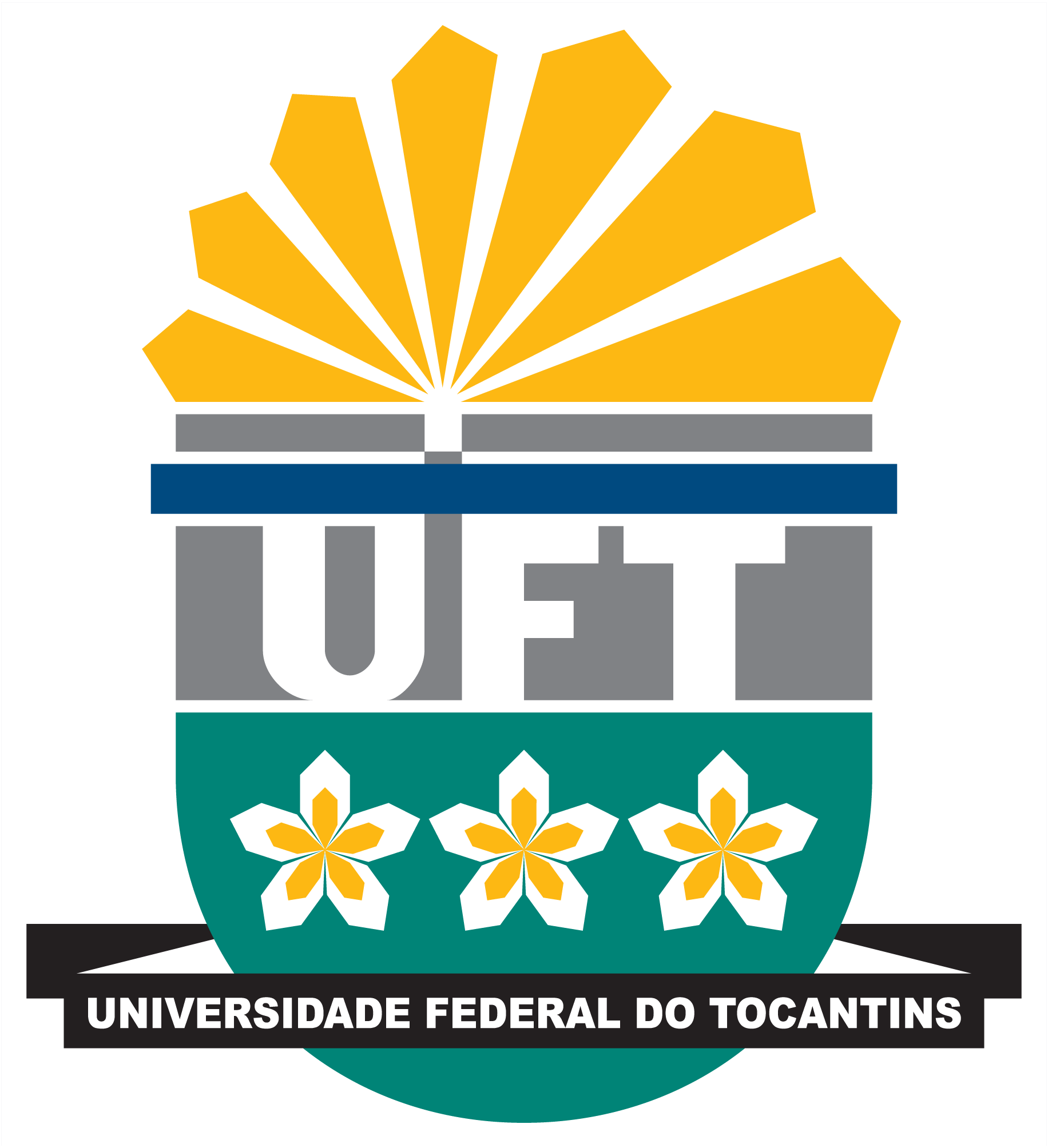 Universidade-Federal-do-Tocantins-UFT-logo-png